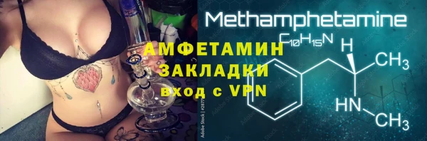 индика Абаза