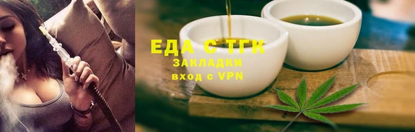 индика Абаза