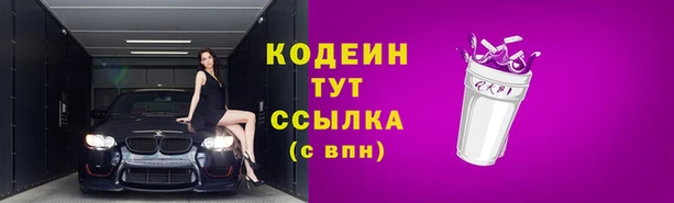 шишки Нефтегорск