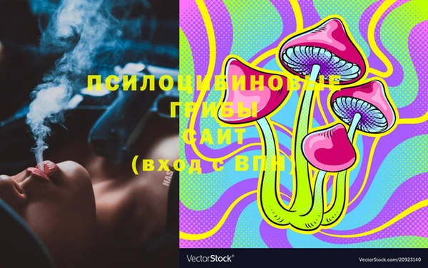 хмурый Абинск
