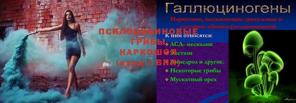 индика Абаза